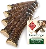 ChronoBalance® XS (5er Set) Geweih Kaustange für Hunde halbierte Stücke Kauspielzeug: Zahnpflege Kaustab aus 100% Hirschgeweih, Hundespielzeug für Zahnhygiene, Kauknochen nachhaltig ohne Chemie