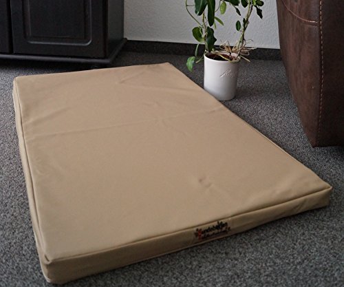 Hundebettenmanufaktur Orthopädische Hundematratze mit antiallergischer Kokosmatte Hundebett Kunstleder Größe und Farbe wählbar (100 cm X 60 cm, beige)