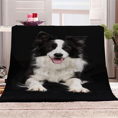 3D Border Collie Kuscheldecke Teenager Jungen Mädchen Hund, Tier Weiche Flauschig Flanelldecke Sherpa Fleecedecke Sommer Warmer Wohndecke Sofa Bett Dekorative Decke 130x150 cm