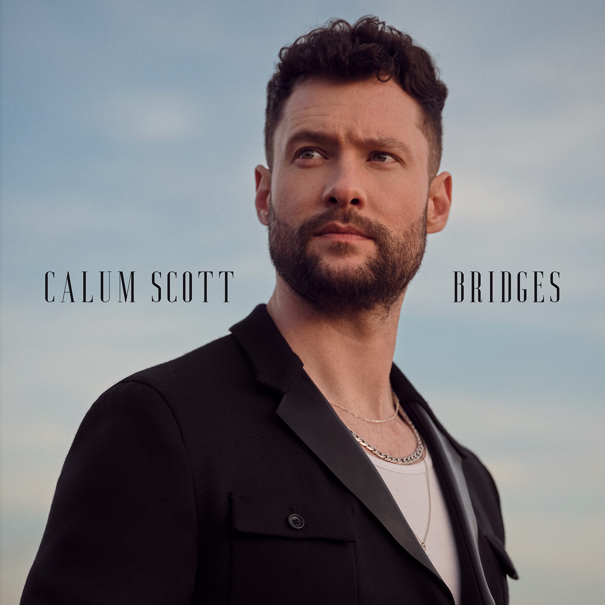 Bridges (2LP) [Vinyl LP]