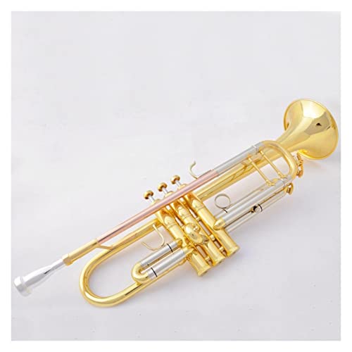 Trompete Messing BB Trompete Gold Lacquer Musikinstrumente Professionelle Trompeten Student Inklusive Fall Mundstück Zubehör