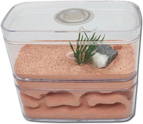 Ameisenfarm Ameisen Haus Gips Insektenvilla Ameisennest Ameisenhaufen Werkstatt Ant Nest Kit Formicarium Display Box-1