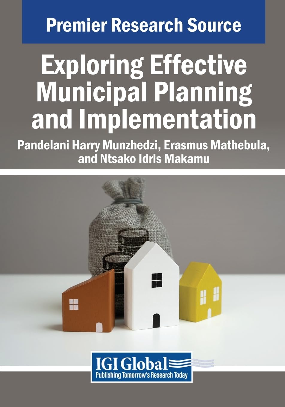 Exploring Effective Municipal Planning and Implementation (Advances in Electronic Government, Digital Divide, and Regional Development)