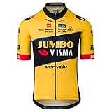 AGU Unisex-Adult Maglia Jumbo VISMA Replica 2023, Giallo, L