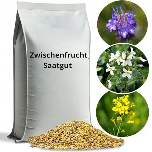 ARPON Zwischenfruchtmischung| Samen Mischung: weißer Senf, Ölrettich, Phaceliablau| Gründüngung mischung 2kg für 800m²| Gründüngungsmischung