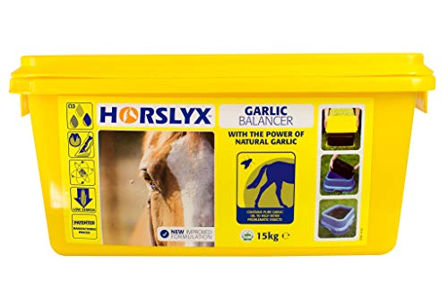 Horslyx Garlic - 15 kg