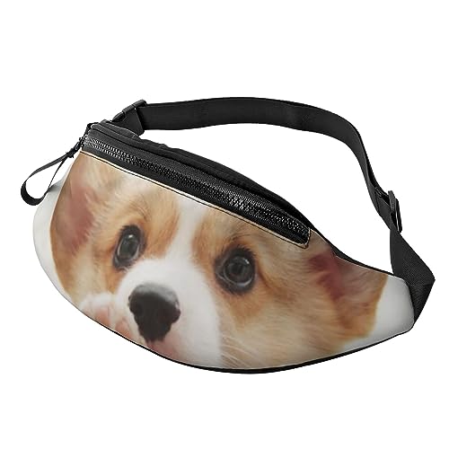 HSJFS Hüfttasche mit lustigem Totenkopf-Aufdruck, verstellbarer Gürtel, lässige Brusttasche, Süße Corgi, Einheitsgröße