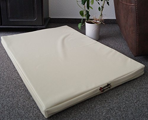 Hundebettenmanufaktur Orthopädische Hundematratze mit antiallergischer Kokosmatte Hundebett Kunstleder Größe und Farbe wählbar (120 cm X 90 cm, Creme)