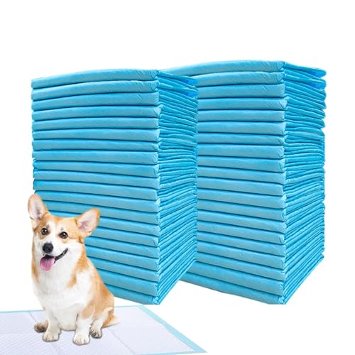 Hunde-Pipi-Pads, Töpfchen-Pads für Hunde | Töpfchen-Trainingsunterlagen für kleine Hunde,Super saugfähige Hunde- und Katzenwindel, Welpen-Haustier-Urin-Windelunterlage, Katzenstreu-Toiletten-Hundeprod