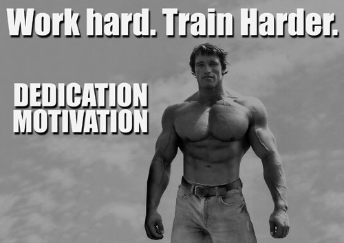 Motivations-Poster in A4 mit Arnold Schwarzenegger und Zitat, Fotoposter, Einsatz 17, Bodybuilding, Fitnessstudio, Sport, Boxen, Radfahren, Athletik, Bodybuilding, Fußball, Rugby, Schwimmen, Boxen, Kampfsport, Golf, Eishockey, Squash