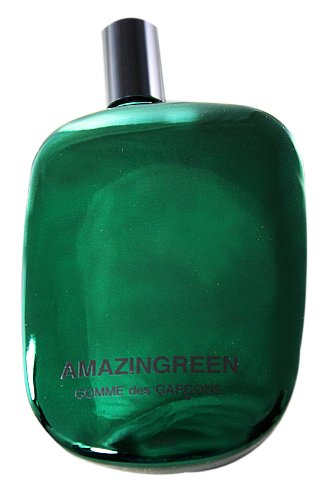 Comme des Garcons Amazing Green homme/men, Eau de Parfum, Vaporisateur/Spray, 1er Pack (1 x 100 ml)