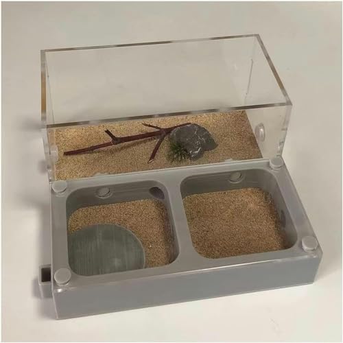 Acryl AntHouse Ameisennest Insekt Villa Natürliche Ameisenfarm Aus Sand Formicarium Display Box Set (Color : C)-1