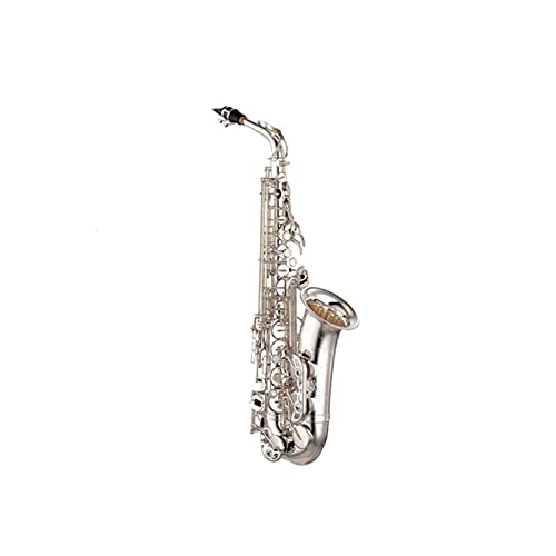 Professionelles Alto Drop E Saxophon Gold Altsaxophon mit Band Mundstück Reed Aglet (Farbe: Silber)