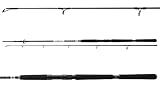 Daiwa BG Offshore Pilk 2,10m 40-125g Pilkrute