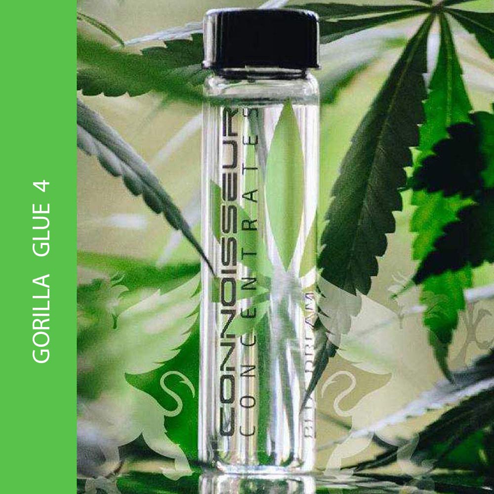 Gorilla Kleber 4 Terpene 1 ml