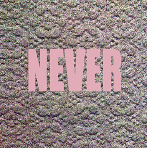 Never [Vinyl LP]