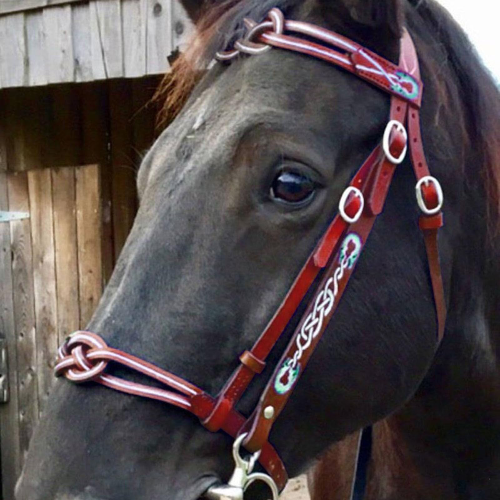 MDFCZXP Pferdezaumzeug Verstellbares Pferdegeschirr - Pferdezaumzeug Supplie - Halfter Reitzubehör Pferdehalfter Sattelzubehör,Rot,10cm