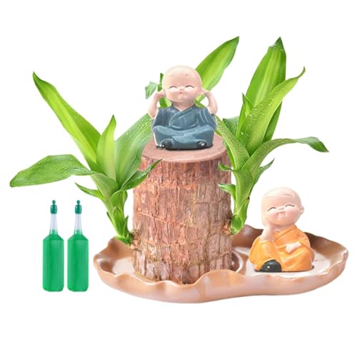 Aizuoni Brazilian Wood Plant, Lucky Brazil Wood, Hydroponische Pflanze Aus Brasilianischem Holz, Brasilianisches Holz Mit 2 Mönchsstatuen, Elegante Heimdekoration, Brasilianisches Glücksholz