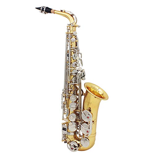 Btuty Altsaxophon, Saxophon, glänzendes Messing, graviert, Eb E-Flat, natürliches Weiß, Muschelknopf, Windinstrument mit Etui, Stummschalthandschuhe, Reinigungstuch, Gürtelbürste