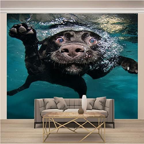 Hintergrundbilder Schwarzer Hund Im Wasser 3D Tapete Für Wandaufkleber TV Wandbild Tapete Wohnzimmer die fototapete 3d Vlies wandbild Schlafzimmer-250cm×170cm