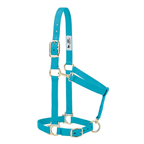 Weaver Leather Basic Adjustable Nylon Halter, Turquoise, 1" Large Horse