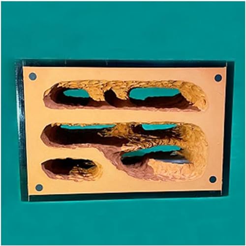 Gips Ameisenhaufen Unbegrenzte Erweiterung Ameisennest Insektenkäfig Display Box Insekt Villa Ameisenfarm Educational Formicarium Für Haus Ameisen Geburtstagsgeschenk (Color : D)-1