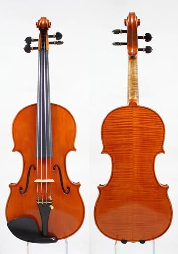 Standard Violine Violine Starker Und Tiefer Ton