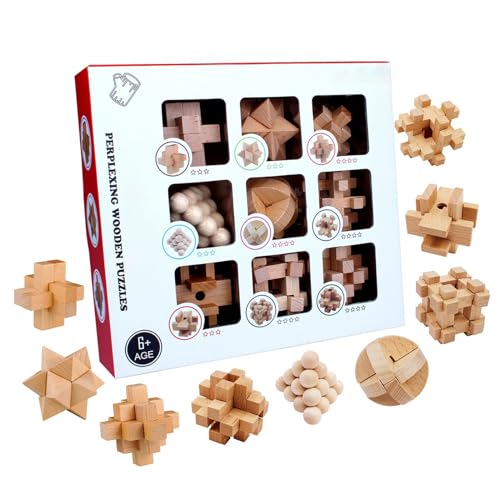 9Pcs 3D Gehirne Puzzle Entfernen Schlösser Spielzeug Entwicklung Lernen Spielzeug Geschenk