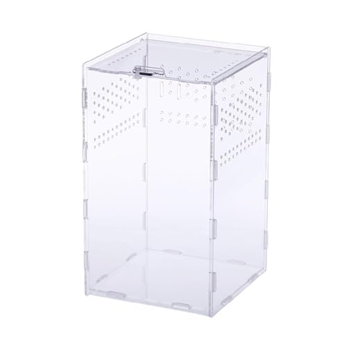 Futterbox Transparent Behälter Acryl Terrarium Für Spinnen Klein Für Box Einfach Zu Asse Acryl Habitat