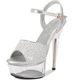 RUIZE Damen High Heels 15 cm/5,9 Zoll Plateau Pumps Sexy Stripper Bühnenauftritt Nachtclub Party Tanz High Heels,Silber,39