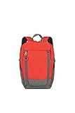 Travelite Handgepäck Rucksack für Reise, Freizeit und Sport, Gepäck Serie BASICS Daypack: Kompakter travelite Rucksack, 096290-10, 35 cm, 14 Liter, Rot/Grau