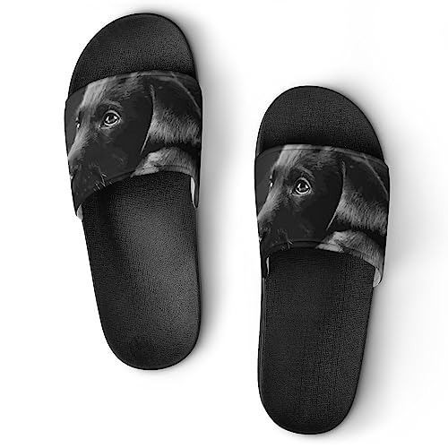 HABXNJF Duschpantoffeln Schwarz Labrador Puppy Art Sliders für Männer und Frauen rutschfeste Slides, Schwarzer Labrador Welpen-Kunst, 37 1/3 EU