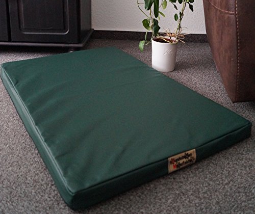 Hundebettenmanufaktur Orthopädische Hundematratze mit antiallergischer Kokosmatte Hundebett Kunstleder Größe und Farbe wählbar (90 cm X 60 cm, grün)