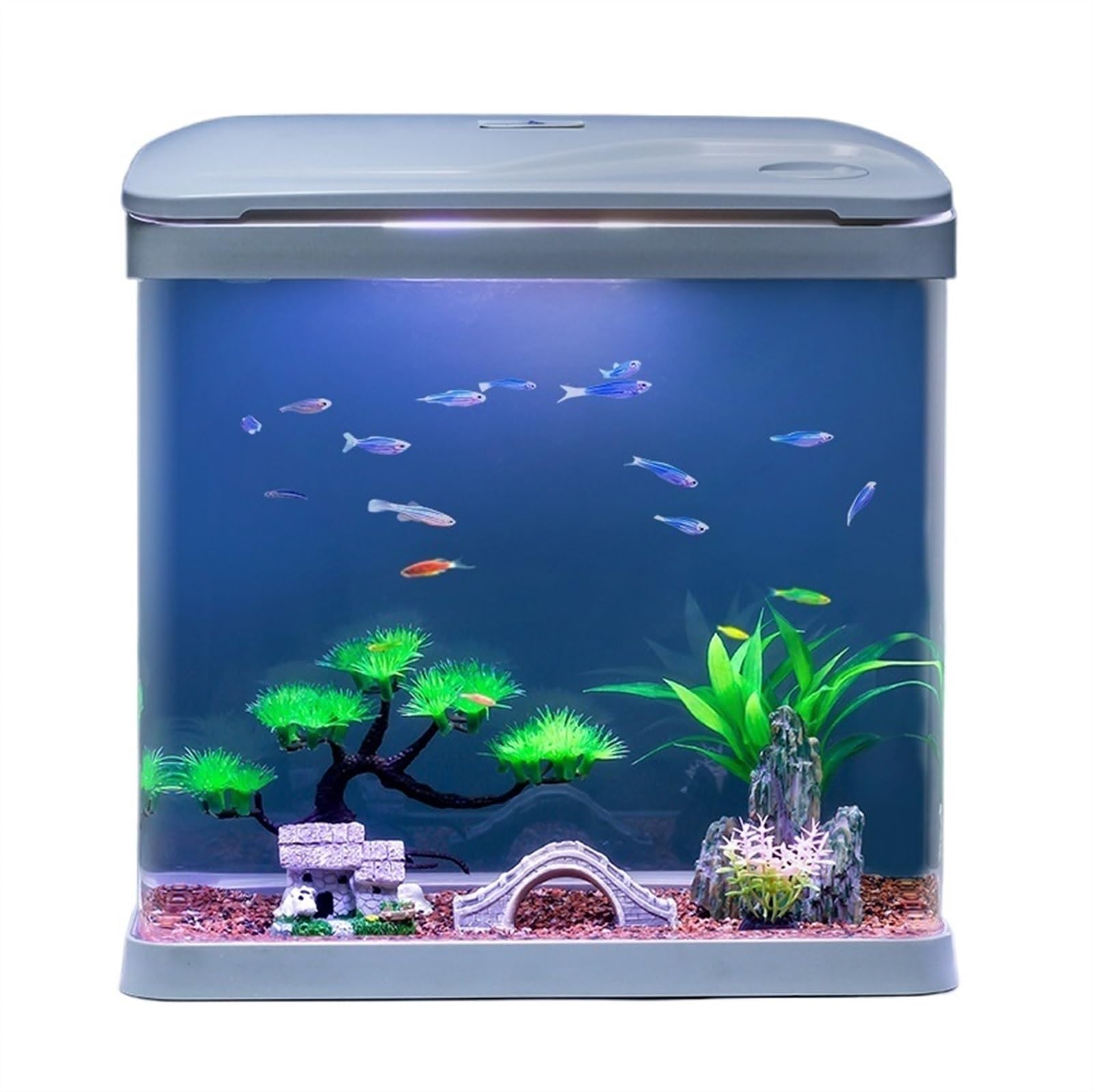 Aquarium, Mit Sauerstofffiltration Integriertes Glas Kleines Haushalts-Selbstzirkulierendes Aquarium mit Led-Leuchten Ökologisches Aquarium Fischglas