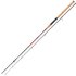 Daiwa Sweepfire Spin 2,70m 10-40g