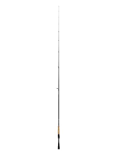 Daiwa 21 Blazon S69L-2