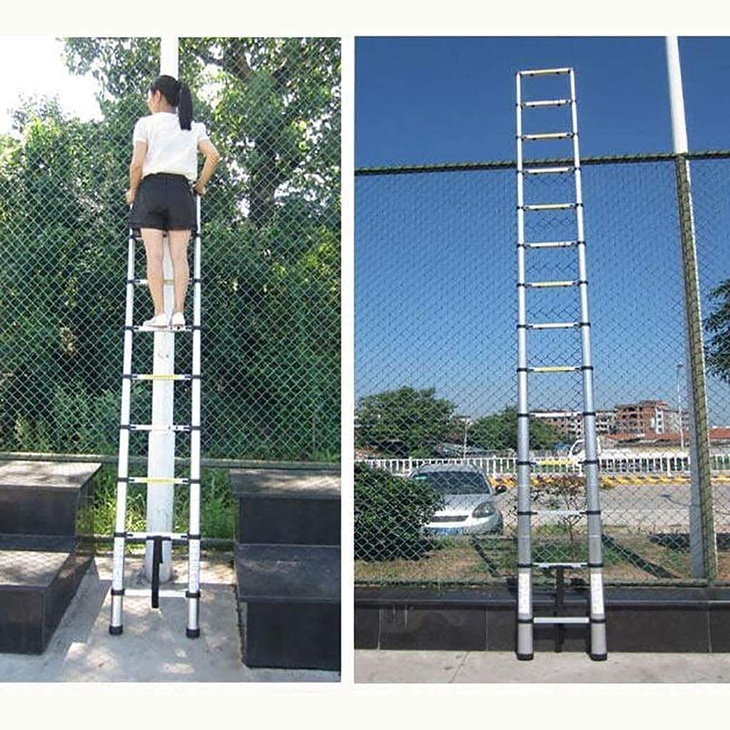 RASOANOA Leitern, Tragbare Teleskopleiter Für Den Haushalt, Multifunktions-Klappleiter Aus Aluminiumlegierung, Verdickte Hebetreppe, Teleskopleiter, 320 cm (200 cm) (200 cm) Ambitious