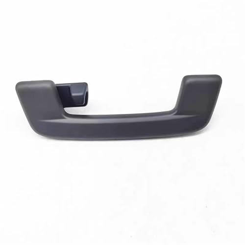 VLZUNO OEM Dachgriff Innendecken-Haltegriffe, for VW, Tiguan MK2 Pro 2024 Haltegriff für Autodach(Black Rear Left)