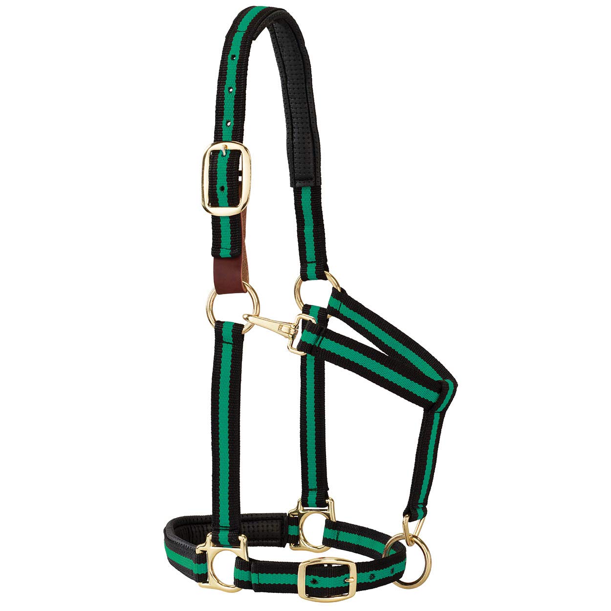 Weaver Leather Padded Breakaway Adjustable Chin and Throat Snap Halter, 1" Average Horse or Yearling Draft, Green Striped