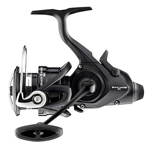 Daiwa 19 Black Widow BR LT 4000-C, Freilauf Angelrolle, 10149-400