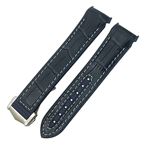 NEYENS Uhrenarmband für Omega Planet Ocean Seamaster Diver 300, spitzer Verschluss, Silikon, Gummi-Nylon-Lederarmband, 19, 20 mm, 22, 21 mm, 19 mm, Achat