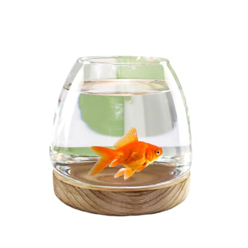 Kleines Aquarium,Starter Aquarium, Glasfischbehälter mit Holzsockel, Glas mit hoher Lichtdurchlässigkeit for klare Sicht, kleines Aquarium for Kampffische, Goldfische, Garnelen(13x12.5cm)