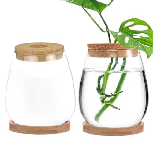 Plant-Terrarium 2 Prozent transparent Deckelanlagen-Propagationsstation mit Tray Hydroponic DIY-Ausbreitungsgläser für Home Office, Drop-förmige Terrassenartikel