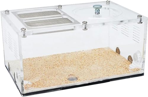 Acryl Ameisen Farm Spleißbares Ameisennest Mit Intelligenter Temperaturregelung Ameisenhaufen Beton Ameisenhaus AntHouse Formicarium Insektenvilla Lernendes Naturwissenschaftliches Kit (Color : C)-1