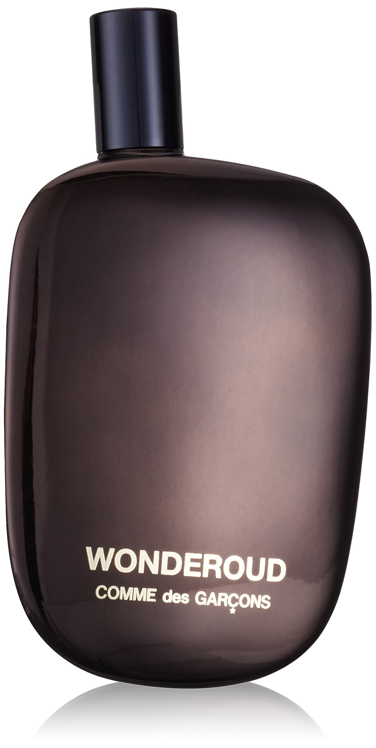 Comme des Garcons Wonderoud homme/men, Eau de Parfum, Vaporisateur/Spray, 100 ml