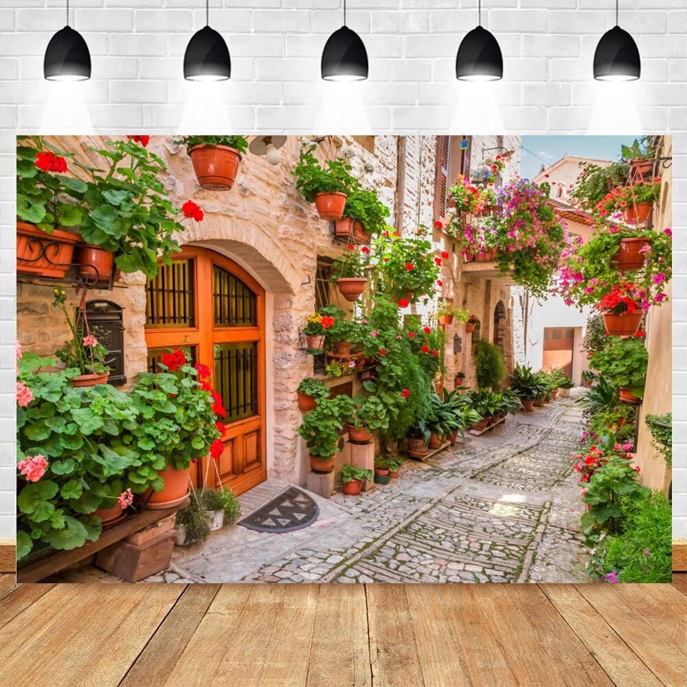 Italian Town Street Ally Hintergrund, Frühling Blumen, Ferien Reisen, Europa Foto Hintergrund Erwachsene Hochzeit Portrait-Shooting Studio240X180cm