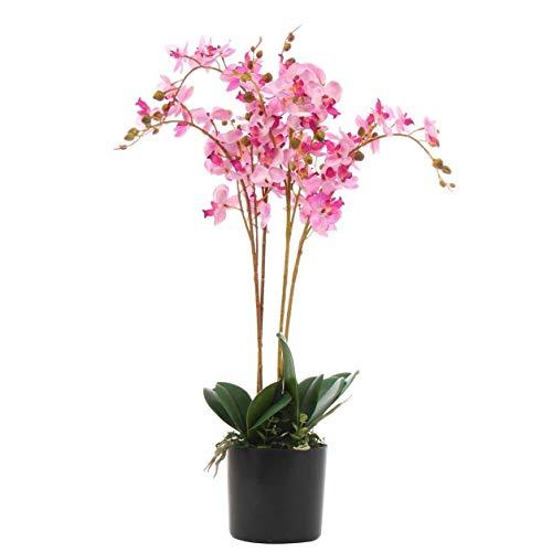 Kunstpflanze Orchideenblatt, realistisch, 60 cm, Rosa