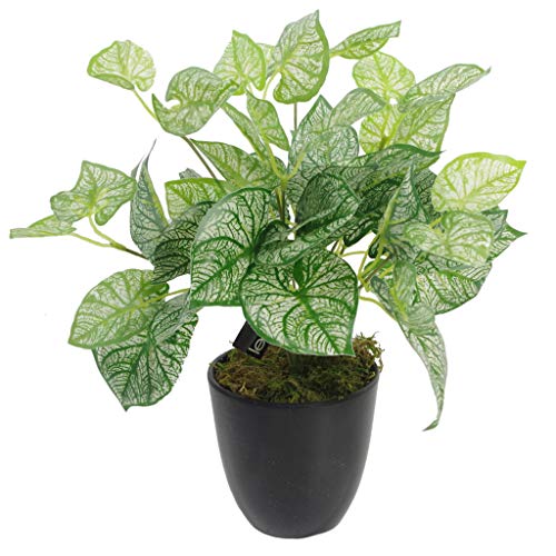 Leaf Künstliche Caladium-Pflanze, Blätter, 40 cm, mit Topf