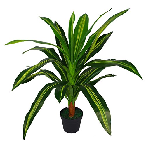 Leaf Dracaena Kunstpflanze, Blätter, 90 cm, Dunkelgrün, fotokeramik, 90cm Dunk Grün