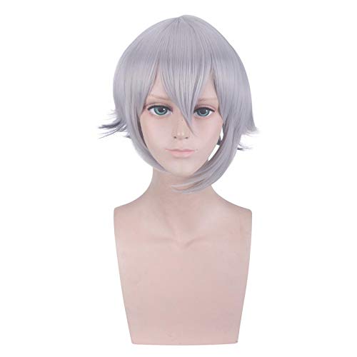 Anime cosplay perücke Anime Game Fate/Grand Order Apokrypha Fo. Lang Lin Wang Perücke Silber graue Haar Cosplay Perücke Rollenspiel Halloween Haar Synthese 35 cm